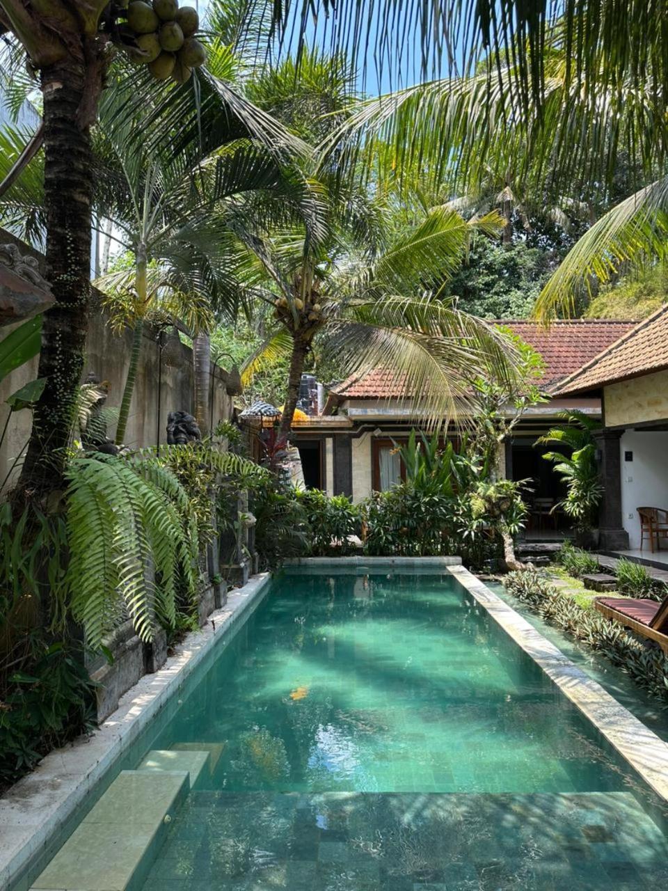 Homestay The Palm *